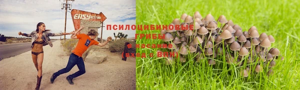 марихуана Алзамай